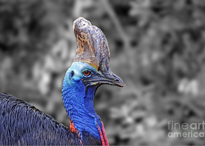 Double-wattled Cassowary Greeting Card featuring the digital art Portrait of a Double-Wattled Cassowary II altered version by Jim Fitzpatrick