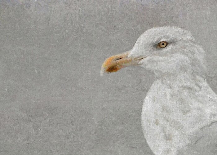 Bird Greeting Card featuring the photograph Portrait of a Gull by Karen Lynch