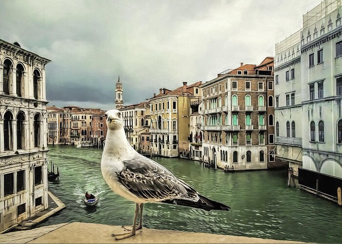 Adriatic Greeting Card featuring the photograph Posing for Tourists by Maria Coulson