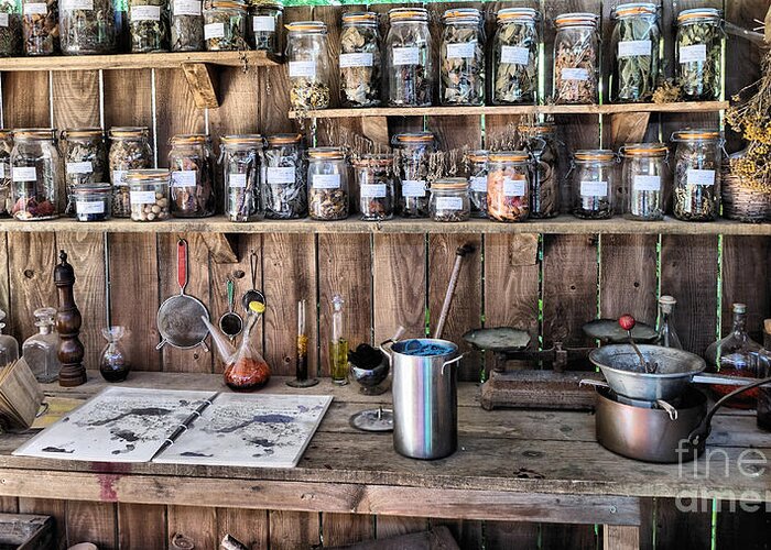Mason Jars Bench Herbs Vintage Old Artistic Shelves Rustic Greeting Card featuring the photograph Potting Shed by Mick Flynn