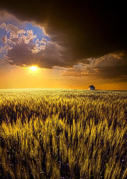 Horizons Greeting Card featuring the photograph Praire Land by Phil Koch