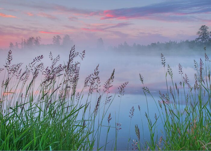 Lake Greeting Card featuring the photograph Prairie Pond Before Sunrise by Dan Jurak
