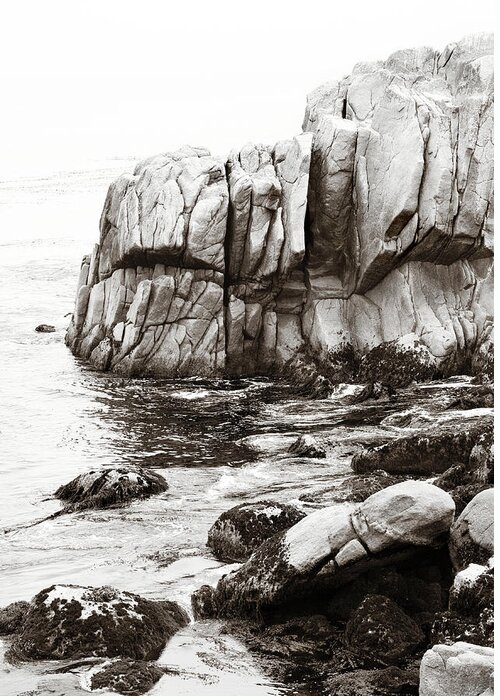 Pebble Beach Greeting Card featuring the photograph Precarious at Pebble Beach by Marilyn Hunt