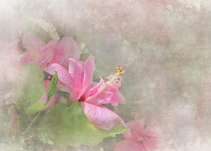 Flower Greeting Card featuring the digital art Pretty Pink Hibiscus by Michele A Loftus