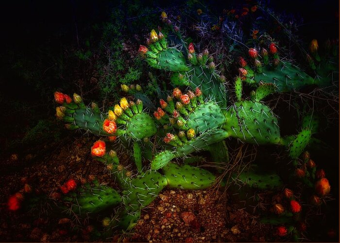 Cactus Greeting Card featuring the photograph Pretty Prickly by Hans Brakob