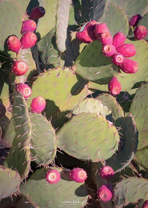 Black Cactus Greeting Card featuring the digital art Prickly Pear Cactus by Steve Kelley