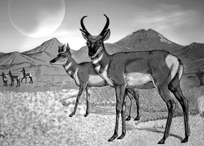 Prong-horn Greeting Card featuring the digital art Prong Horns In The Moonlight B and W by Joyce Dickens