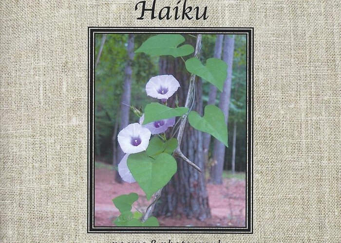 Pineywoods Summer Haiku Greeting Card featuring the photograph PSH cover by Judith Lauter