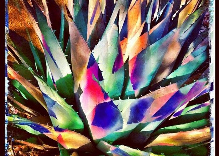Feelgoodphoto Greeting Card featuring the photograph Psychedelic Agave by Paul Cutright