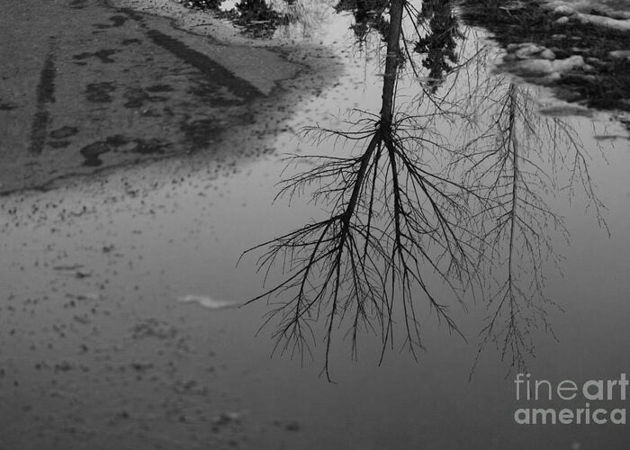 Spring Thaw Greeting Card featuring the photograph Puddles by Ann E Robson