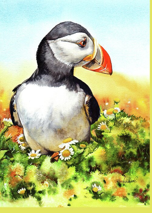 Puffin Greeting Card featuring the painting Puffin by Peter Williams