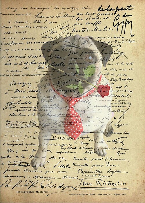 Pug Greeting Card featuring the photograph Pug in Love by Jackson Pearson