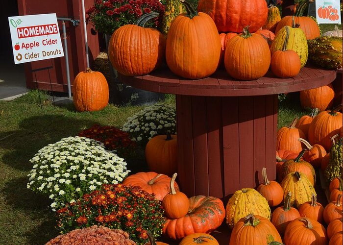 Autumn Greeting Card featuring the photograph Pumpkin Display by Charles HALL