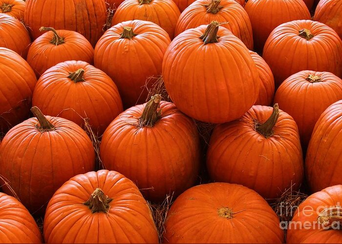 Photo For Sale Greeting Card featuring the photograph Pumpkin Parch 3 by Robert Wilder Jr
