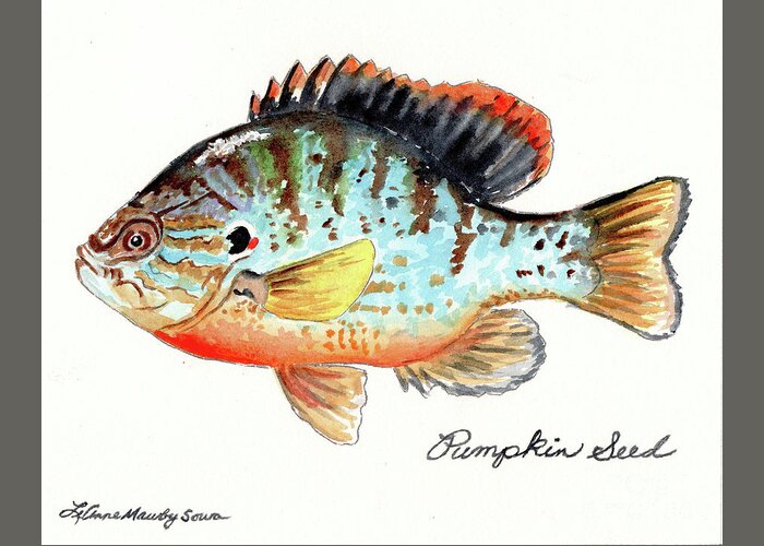 Pumpkinseed Greeting Card featuring the painting Pumpkin Seed Fish by LeAnne Sowa
