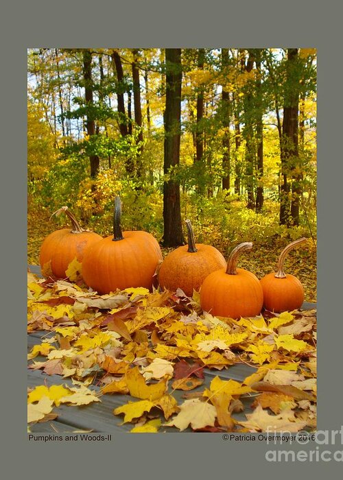 Pumpkin Greeting Card featuring the photograph Pumpkins and Woods-II by Patricia Overmoyer