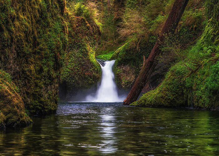 Oregon Greeting Card featuring the photograph Punchbowl Falls by Chuck Jason
