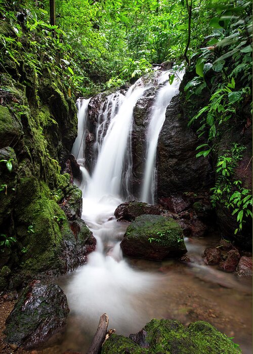 Waterfall Greeting Card featuring the photograph Pura Vida Waterfall by David Morefield