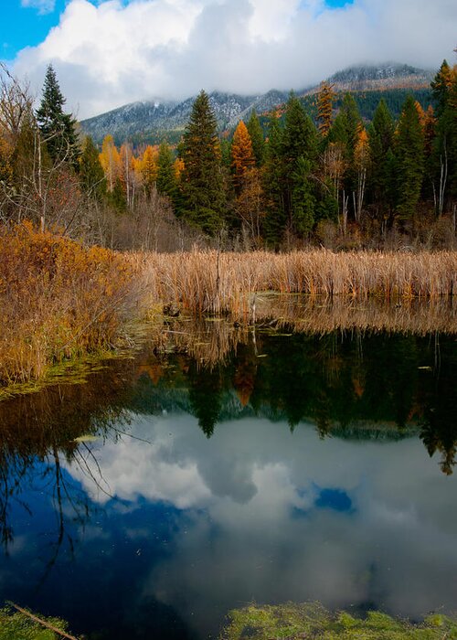 Pond Greeting Card featuring the photograph Purcells Reflected by Idaho Scenic Images Linda Lantzy