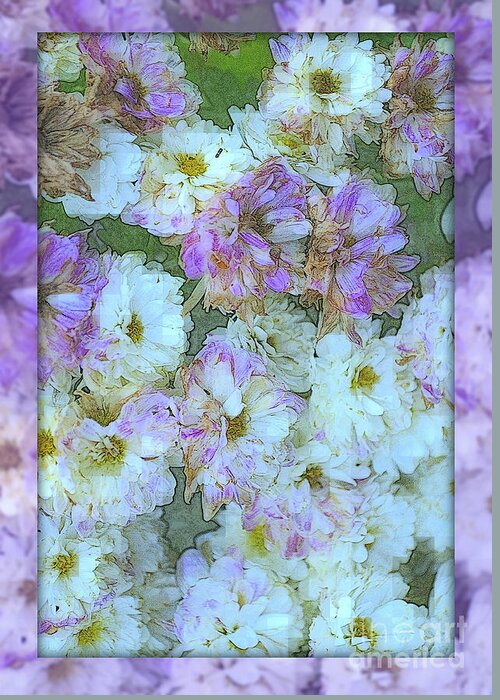 Flower Greeting Card featuring the photograph Purple and White Fantasy - Flowers of Spring - variation by Miriam Danar