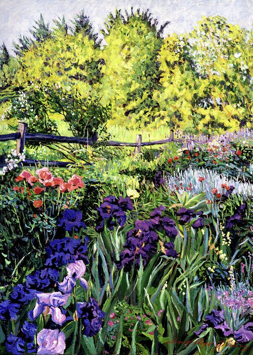 Irises Greeting Card featuring the painting Purple Garden by David Lloyd Glover