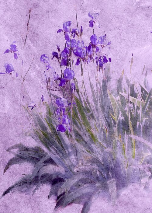 Flowers Greeting Card featuring the photograph Purple Irises by Susan Eileen Evans