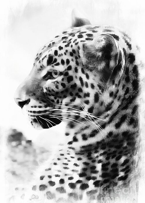 Leopard Greeting Card featuring the photograph Purrfect by Clare Bevan