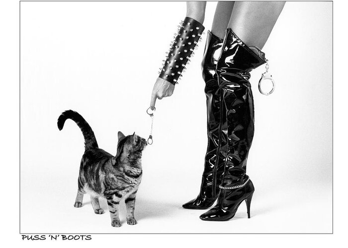 Puss N Boots Photograph By Richard Watherwax