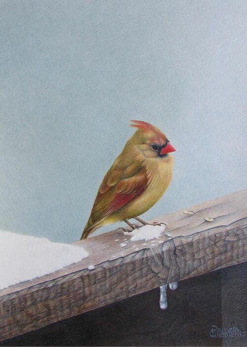 Cardinal Greeting Card featuring the drawing Queen of State by Pamela Clements