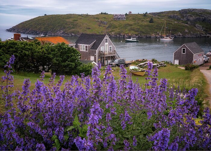 #monhegan#island#maine#oceanlife#seascape#flowers#summer#fishingvillage Greeting Card featuring the photograph Quiet of the Evening by Darylann Leonard Photography
