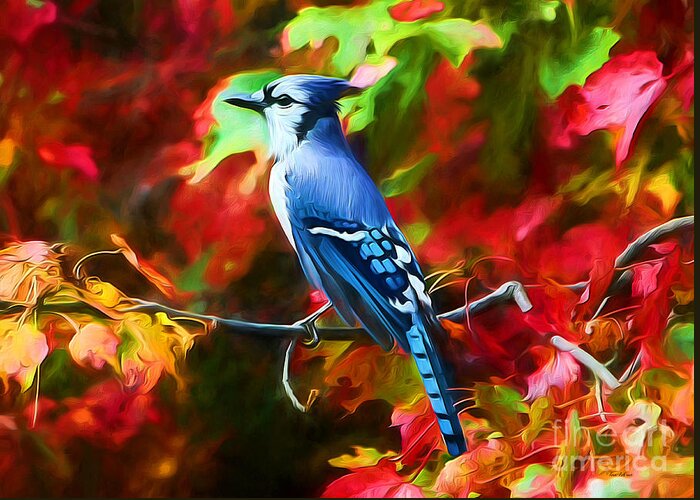 Blue Jay Greeting Card featuring the photograph Quite Distinguished by Tina LeCour