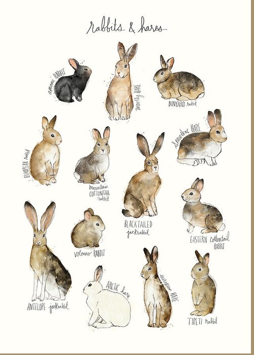 Rabbits Greeting Card featuring the painting Rabbits and Hares by Amy Hamilton
