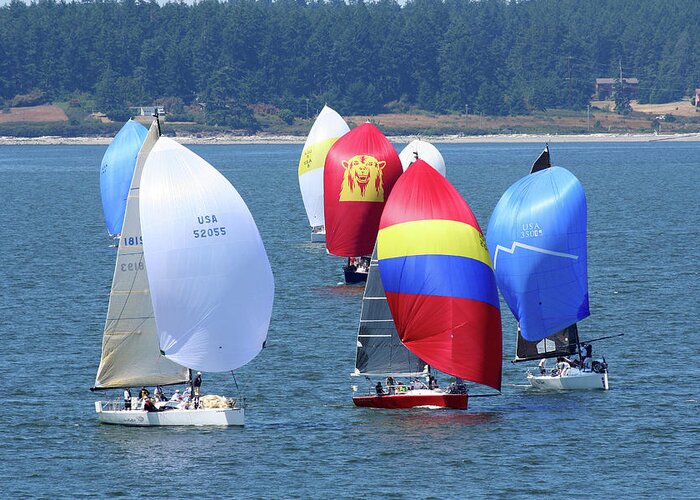 Sailboats Greeting Card featuring the photograph Race Week 2007 BO1041 by Mary Gaines