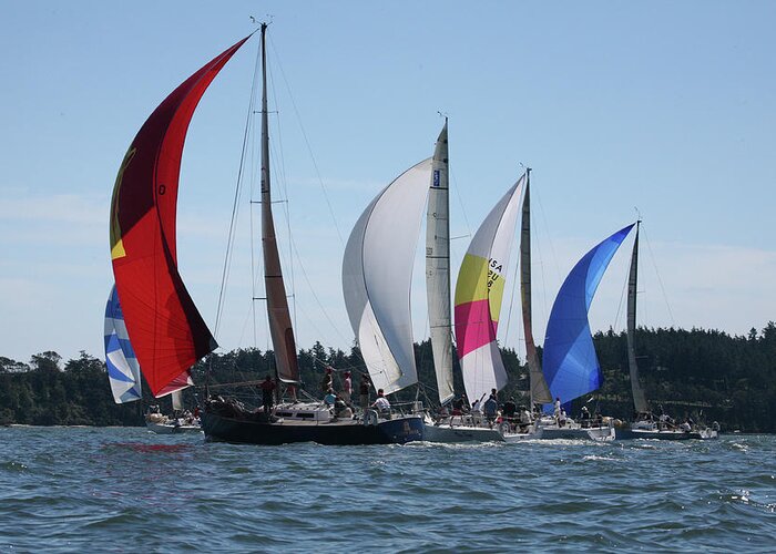 Sailboats Greeting Card featuring the photograph Race Week 2007 BO1258 by Mary Gaines