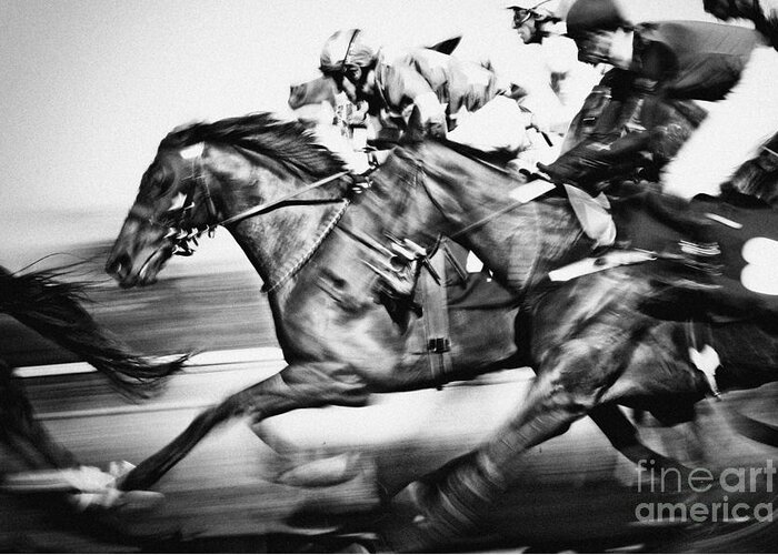  Race Greeting Card featuring the photograph Racing Horses by Dimitar Hristov