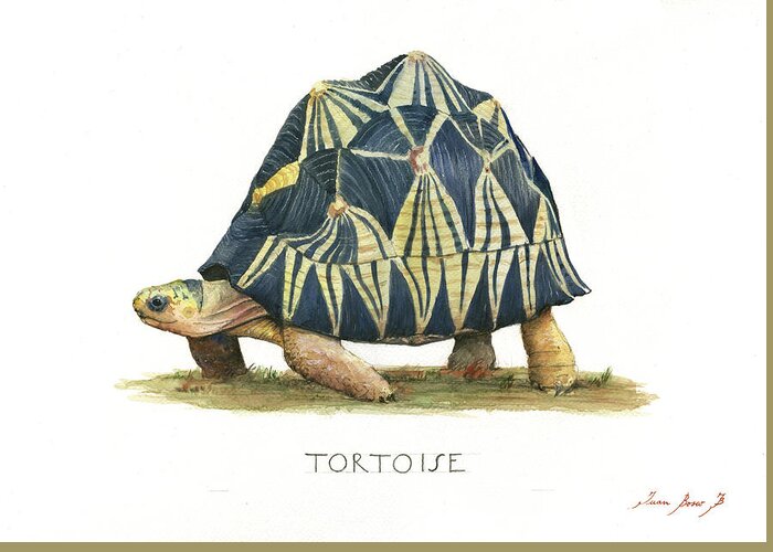 Radiated Tortoise Greeting Card featuring the painting Radiated Tortoise by Juan Bosco