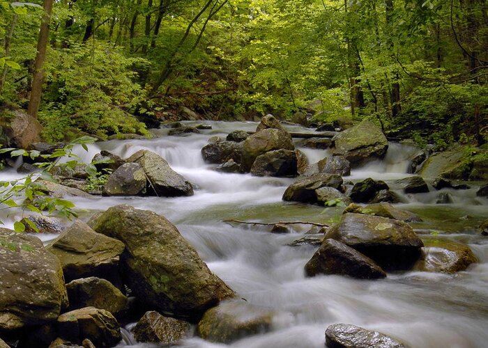 Stream Greeting Card featuring the photograph Raging Stream by Stephen Vecchiotti