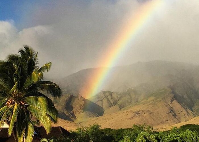 Maui Greeting Card featuring the photograph Rainbow At Olowalu #maui by Darice Machel McGuire