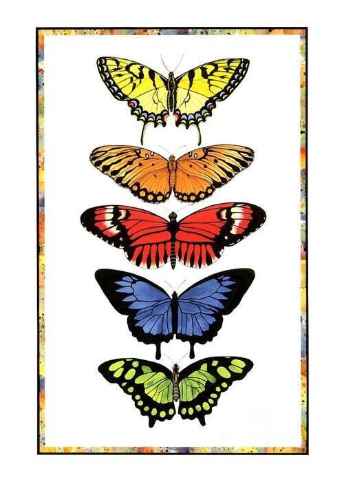 Butterflies Greeting Card featuring the painting Rainbow Butterflies by Lucy Arnold