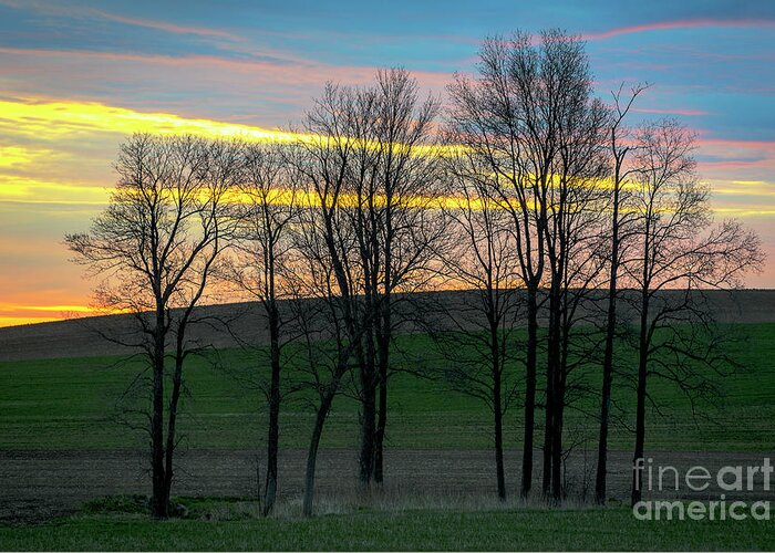 Sunrise Greeting Card featuring the photograph Rainbow Color Tree Horizon by Joann Long