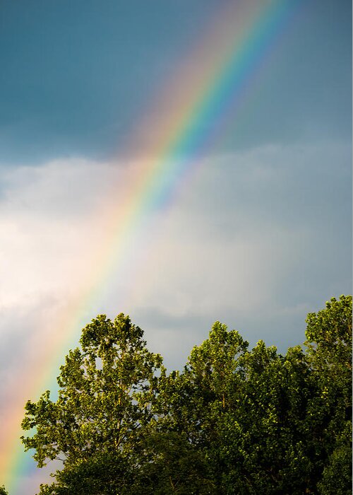 Rainbow Greeting Card featuring the photograph Rainbow by Holden The Moment