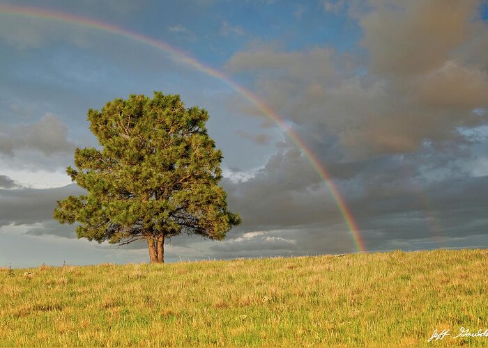 Arizona Greeting Card featuring the photograph Rainbow Over a Lone Tree by Jeff Goulden