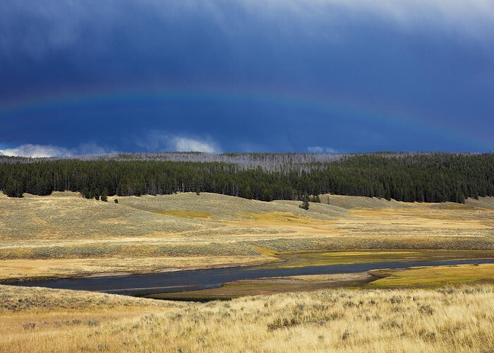 Yellowstone Greeting Card featuring the photograph Rainbow over Yellowstone by Deborah Penland