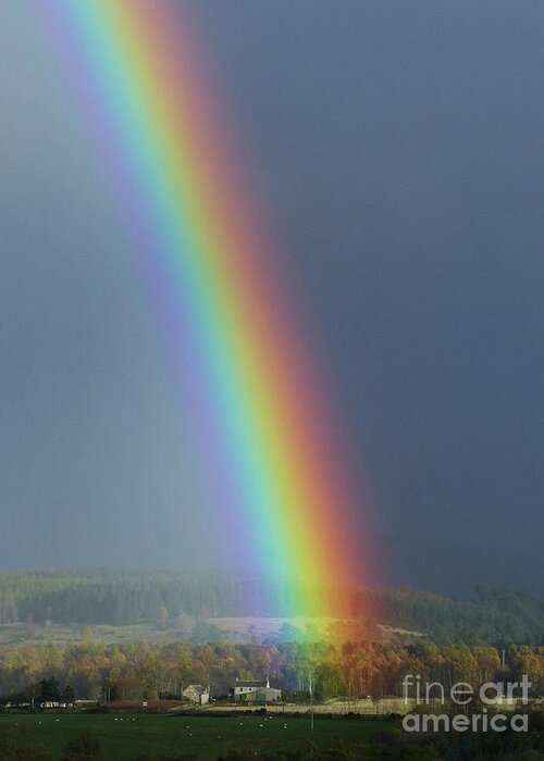 Rainbow Greeting Card featuring the photograph Brilliant Rainbow by Phil Banks
