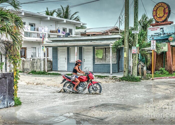 San Pedro Belize Greeting Card featuring the photograph Rainy Day Puddle to Conquer by David Zanzinger