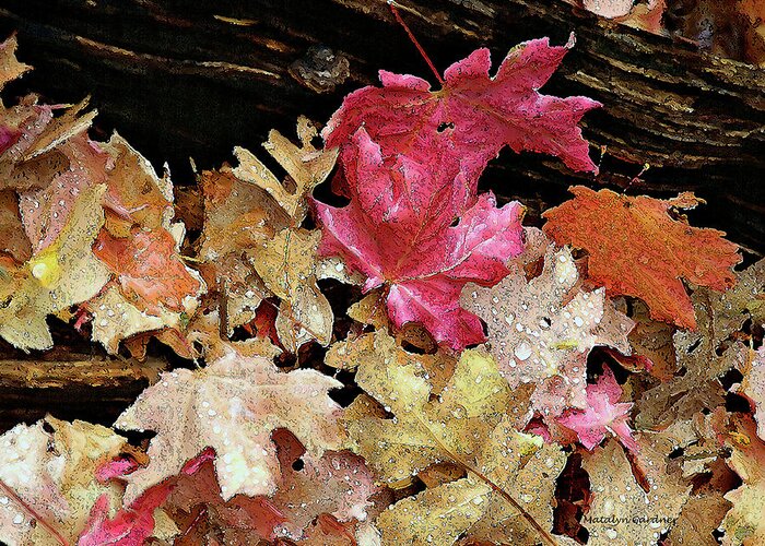 Leaves Greeting Card featuring the photograph Rainy Day Leaves by Matalyn Gardner