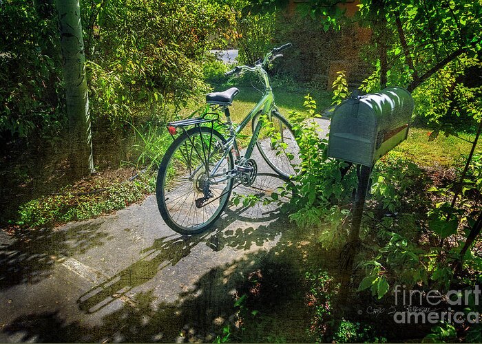 American Greeting Card featuring the photograph Raleio Bicycle by Craig J Satterlee