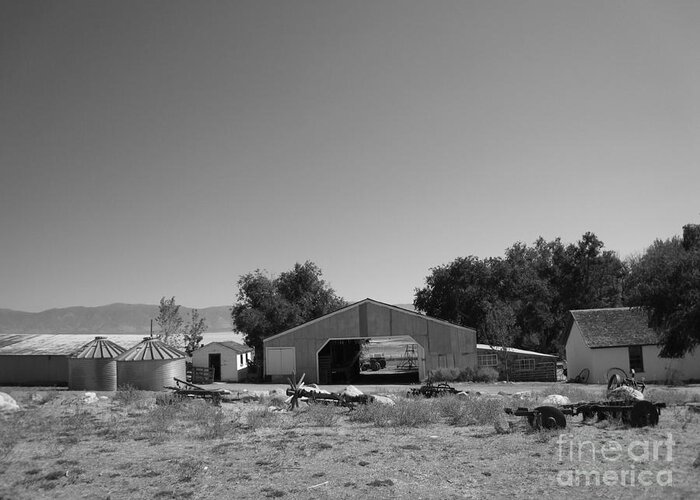 Blackandwhite Greeting Card featuring the photograph Ranch by Lisa Schafer