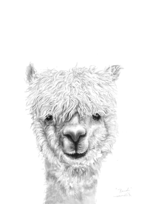 Llama Art Greeting Card featuring the drawing Randi by Kristin Llamas