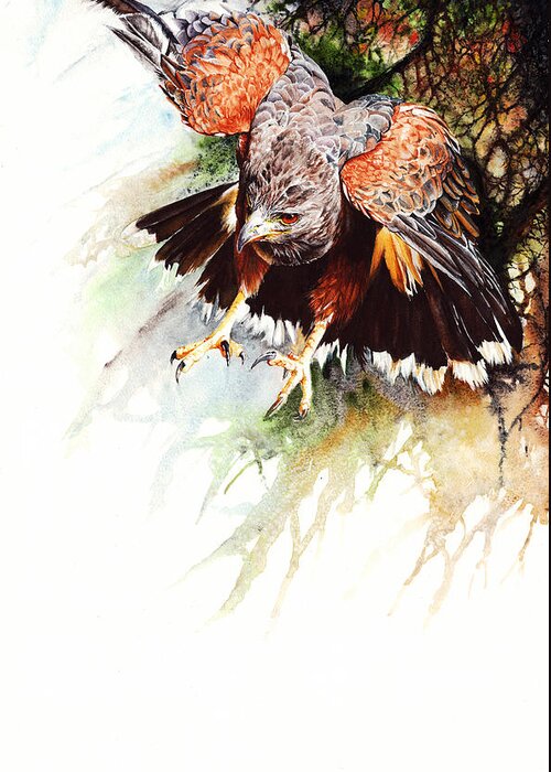 Bird Greeting Card featuring the painting Raptor by Peter Williams